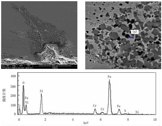 5df84fd44ccfd.jpg 5.jpg