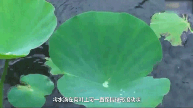 無錫不銹鋼板價格,201不銹鋼,無錫不銹鋼,304不銹鋼板,321不銹鋼板,316L不銹鋼板,無錫不銹鋼板 無錫不銹鋼板價格,201不銹鋼,無錫不銹鋼,304不銹鋼板,321不銹鋼板,316L不銹鋼板,無錫不銹鋼板